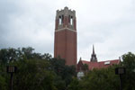 Century Tower on the Unversity of Florida  Campus